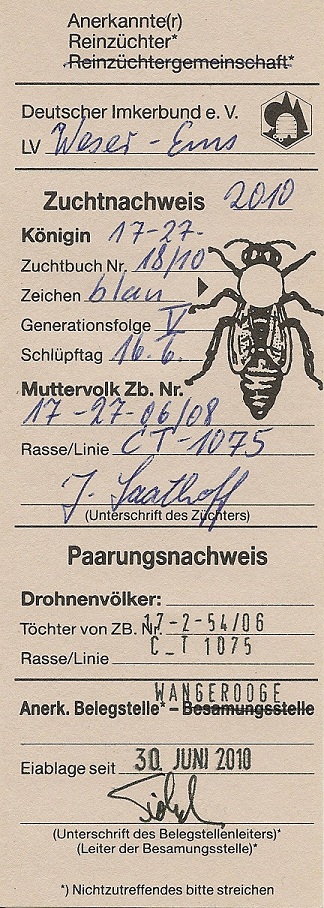 rausch_3